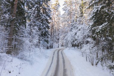 Karlı bir ormandaki bir toprak yol ile kış manzarası.