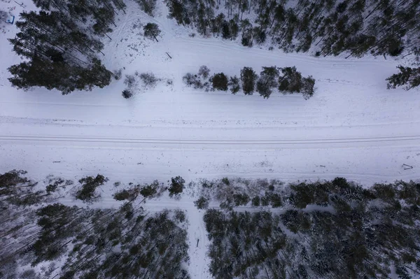 Photographie de drones de forêt d'hiver et chemin de fer — Photo