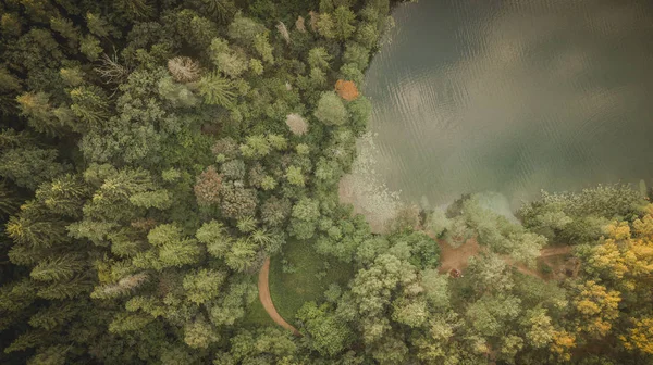 Drone view of forest and lake