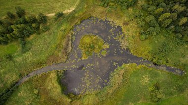 Nehir ve bataklık dron görünümü