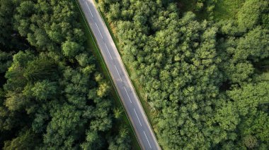Drone görünümü yolun ormanı.