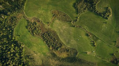 Robot için kullanılan meadows görünümünü kesilmiş çimen hayvanlar için