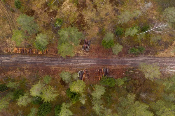 Drone view of forest, dirt roads and pile of logs in rural landscape