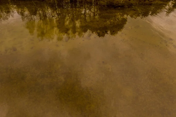 Odraz lesa a mraků ve vodě. — Stock fotografie