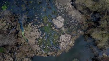 Güneşli bahar akşamı nda küçük bataklık havadan drone görüntüleri