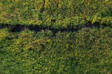 Drone çayır ve küçük nehir görünümü aşağıdan aşağıya