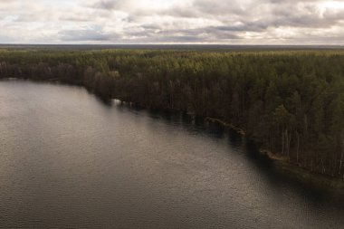 Yaz boyunca göl kıyısı ve ufuk çizgisinin drone görüntüsü