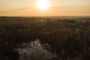 Yaz günbatımında orman, göl ve nehirlerin drone görüntüsü