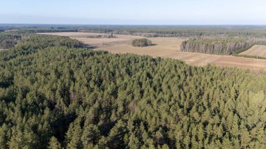 Açık ve tarlalı sık bir ormanın havadan görünüşü.