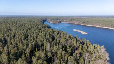 Uçsuz bucaksız bir ormanın uçsuz bucaksız manzarası kıvrımlı bir nehir ve küçük kumlu bir ada.