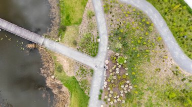 Patikaları, yeşilliği ve göleti olan bir parkın havadan görünüşü.