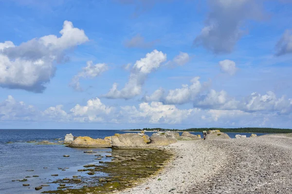 Gamla Hamn Schweden Auf Der Insel Gotland Herbst — Stockfoto