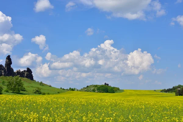 Muro Del Diavolo Teufelsmauer Nel Promontorio Harz — Foto Stock