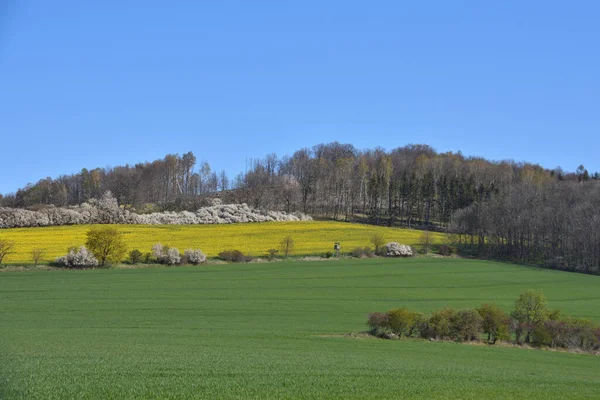 Spitzberg Montaña Saxon Primavera Por Mañana —  Fotos de Stock