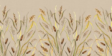 Çim Typha gri bej renkli arka plan üzerinde çizim sorunsuz kenarlık