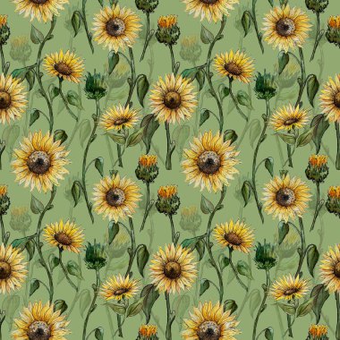 Sulu Boya grafik seamless iki katlı modeli üzerinde yeşil bir arka plan ayçiçeği çiçek
