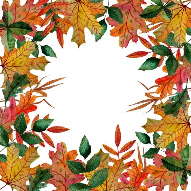 kare kare sonbahar meşe, ashberry, akçaağaç, Kuşburnu, kestane yaprakları