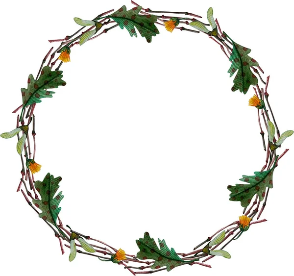 Round frame wreath autumn green leaves branch oak samara isolated — Stock Photo, Image