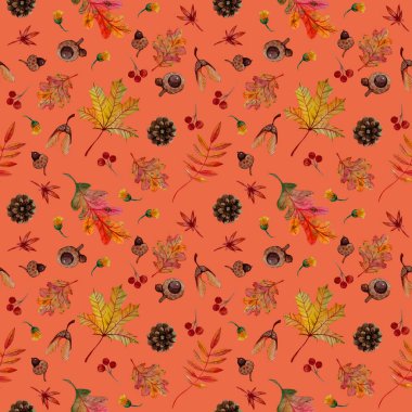 dikişsiz desen sonbahar elemanları turuncu akçaağaç meşe rowan aralık arka plan üzerinde konileri meşe palamudu samara yaprakları 