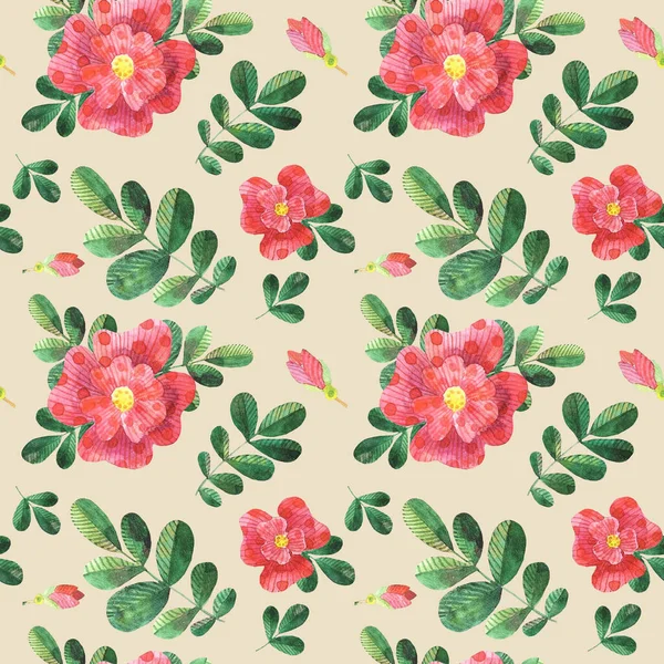 suluboya, kırmızı köpek gülleri bej arka planda pürüzsüz desen