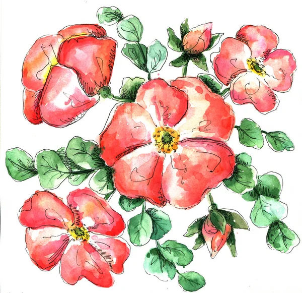 Suluboya el çizimi kırmızı mercan yaban gülü çiçekleri ve okaliptüs yapraklarıyla izole edilmiş.