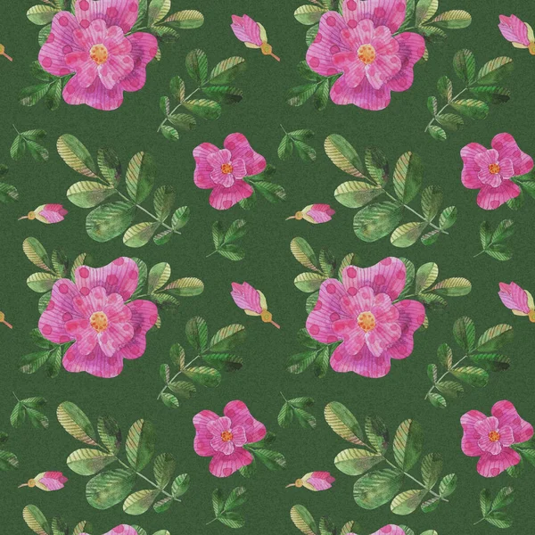 Watercolor stylized pink dog roses seamless pattern on dark green background — Stock Photo, Image