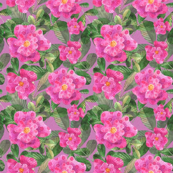 Watercolor stylized pink dog roses seamless pattern on pink background — Stock Photo, Image