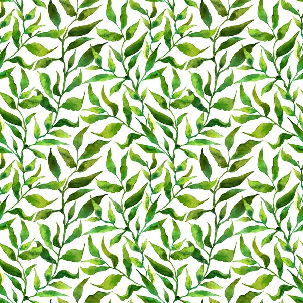 Seamless pattern with stylized leaves. Floral endless pattern filled with green leaves. Fresh greenery background, wallpaper, textile print.Watercolor hand drawn illustration on a white background.
