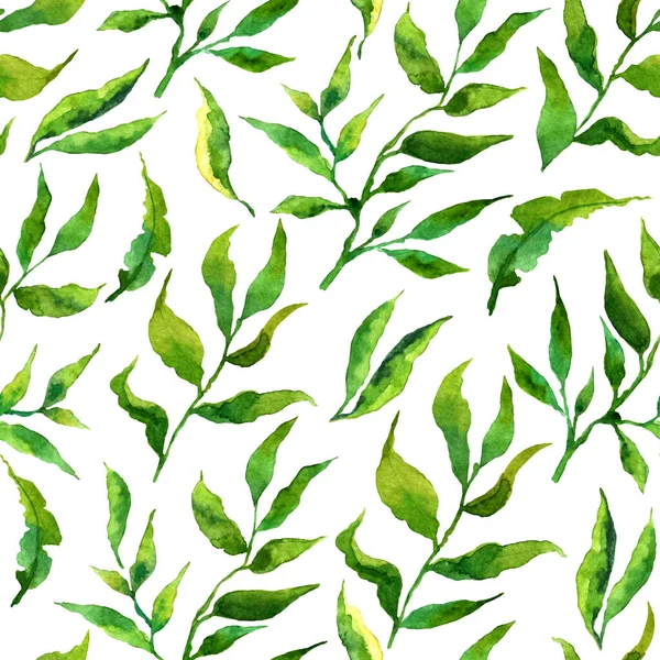 Безшовний візерунок зі стилізованими листям. Квітковий нескінченний візерунок, заповнений зеленим листям. Свіжий зелений фон, шпалери, текстильний принт. Кольорова рука намальована ілюстрація на білому тлі . — стокове фото