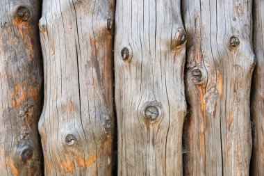 arka planda kesme günlükleri. çatlaklar ve knot ile eski günlükleri doku 