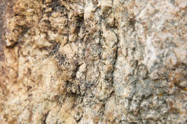 kahverengi taş yüzey dokusu. kaba taş arka plan