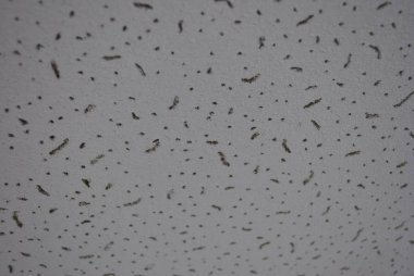 sevilla İspanya mozaik detay