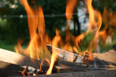 Ateşte yemek pişirmek.