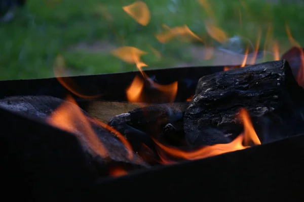 Ateşte yemek pişirmek.