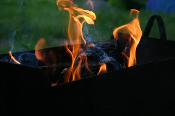 Kochen Auf Einem Feuer Stockbild