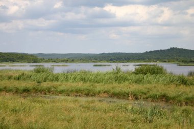 Göl ve mavi gökyüzü ile manzara