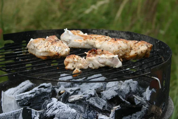 Vlees Grill — Stockfoto