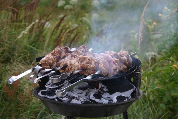 Vlees Grill — Stockfoto