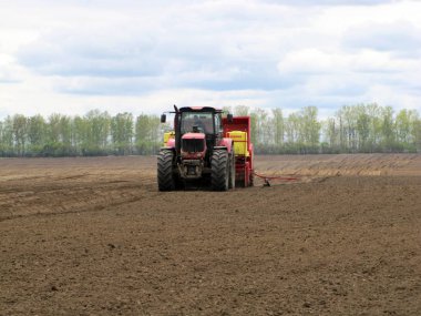 alan, mısır kulakları, hasat, biçme, çiftçi, kırsal tra