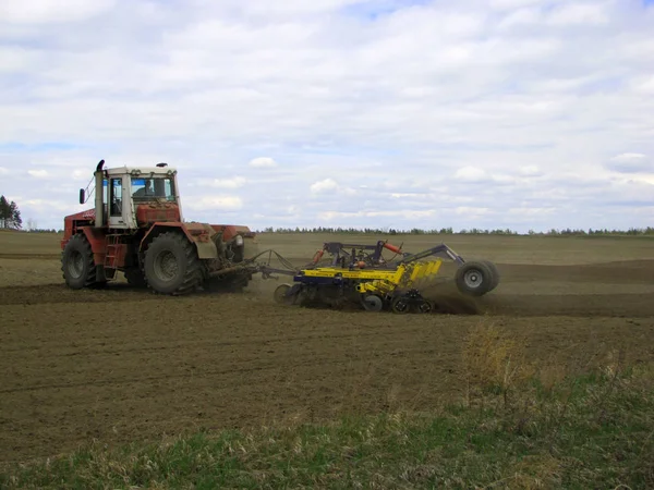 Pole Kłosy Kukurydzy Żniwa Koszenie Rolnik Traktor Wiejski Kombajn Maszyny — Zdjęcie stockowe