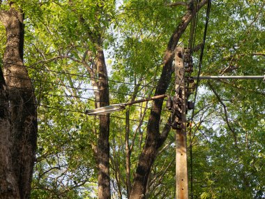 elektrik direği Sophon Tapınağı rayong tayland