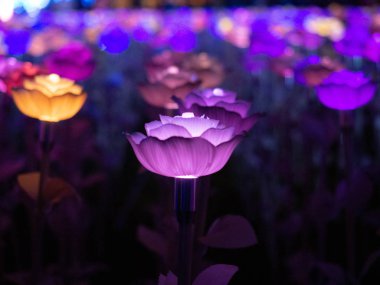 Bangkok Tayland Aydınlatma Tasarım Sanam Luang, Lamba çiçekler renkli aydınlatma 