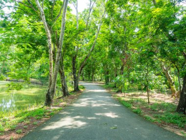Doğa ile çevrili bahçede huzur ve sessizlik Bangkok Tayland 'daki Sri Nakhon Khuean Khan Park ve Botanik Bahçesi' nde.