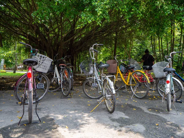 Kolorowe Rowery Park Pod Drzewem Sri Nakhon Khuean Khan Park — Zdjęcie stockowe