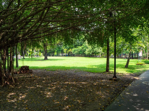 Walkway Στον Κήπο Περιτριγυρισμένο Από Φύση Είναι Ειρήνη Και Ησυχία — Φωτογραφία Αρχείου