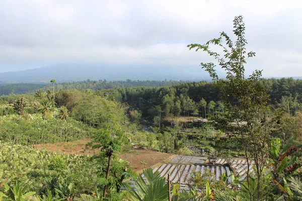 Suasana Pedesaan Lumajang Jawa Timur Indonesia — Stok Foto