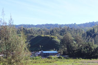 Ranu Pane Lumajang kırsal atmosferi, Doğu Java, Endonezya