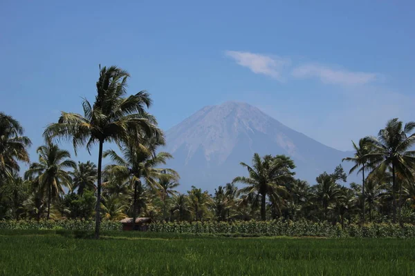 Сельская Атмосфера Ranu Pane Lumajang East Java Indonesia — стоковое фото