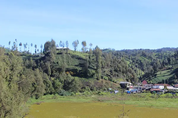 Suasana Pedesaan Ranu Pane Lumajang Jawa Timur Indonesia — Stok Foto