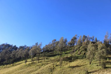 Ranu Kumbolo Gölü atmosferi, Bromo Tengger Semeru Ulusal Parkı